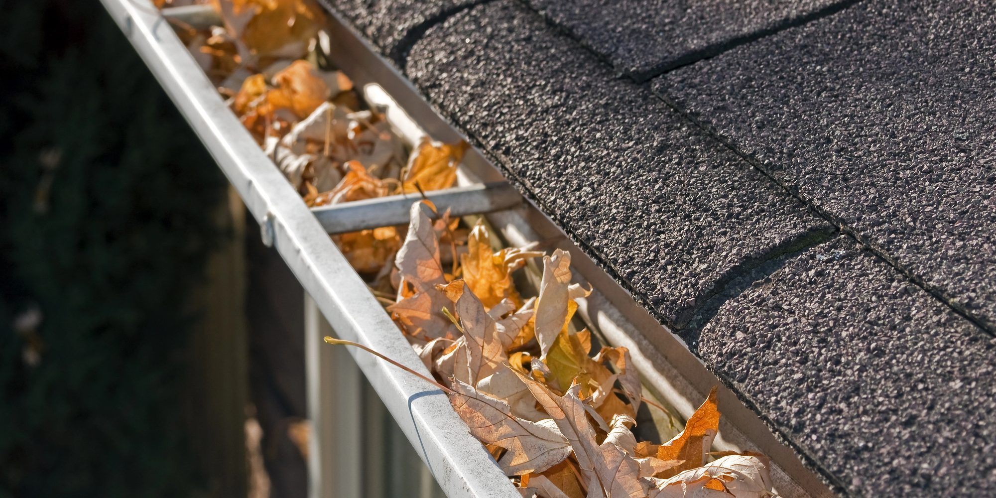 Property Stewards: Exceptional Care for Your Home, Peace of Mind for You. Property Stewards: Exceptional Care for Your Home, Peace of Mind for You.