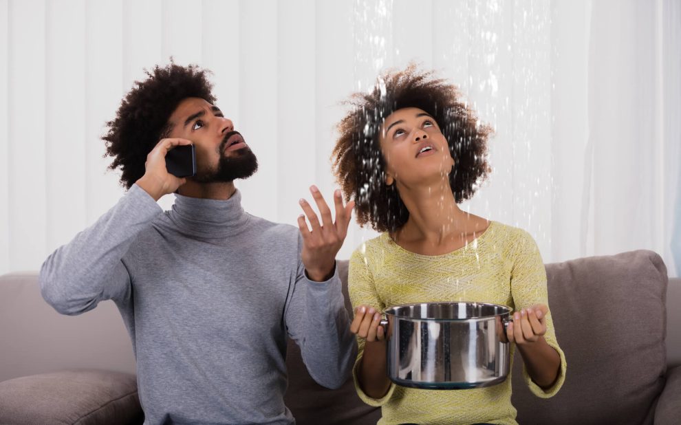 From Repairs to Renovations: How Residential Maintenance Companies Handle It All