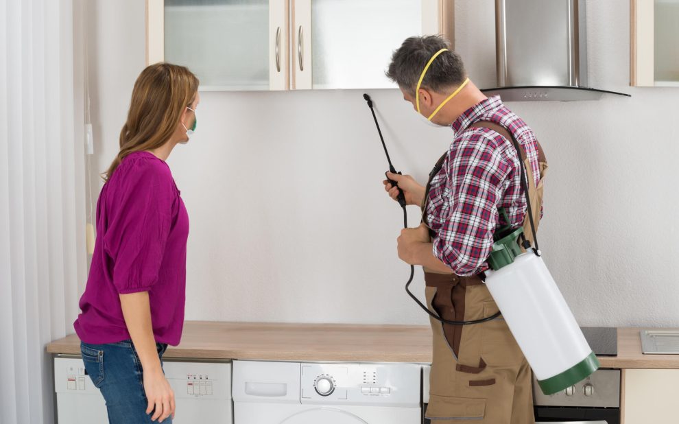 Reasons to Choose Luxury Concierge Property Care