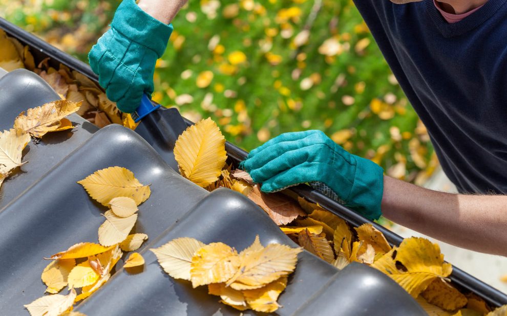 Preparing Your Property for Holiday Guests: A Fall Maintenance Guide