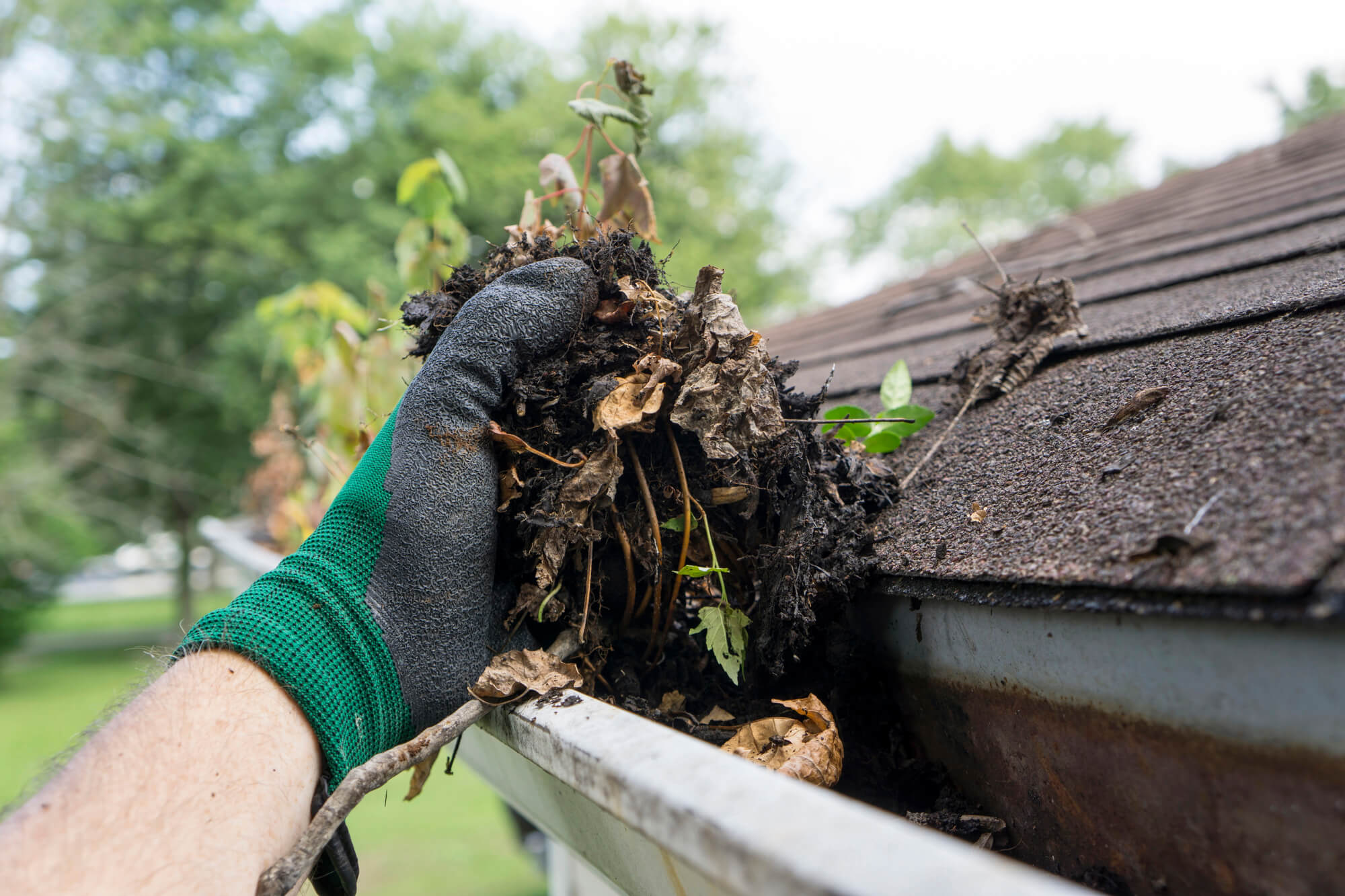 Preparing Your Property for Holiday Guests: A Fall Maintenance Guide