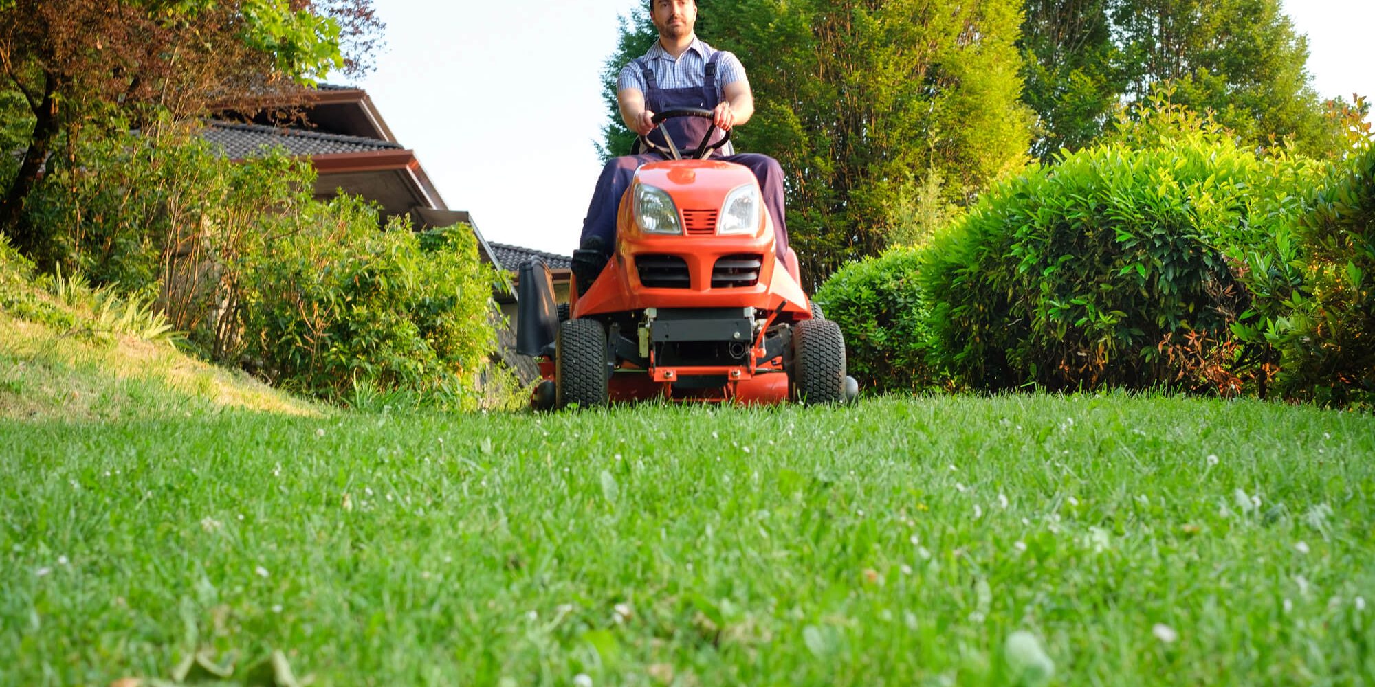 How to Keep Your Lawn Healthy Year-Round: Seasonal Tips