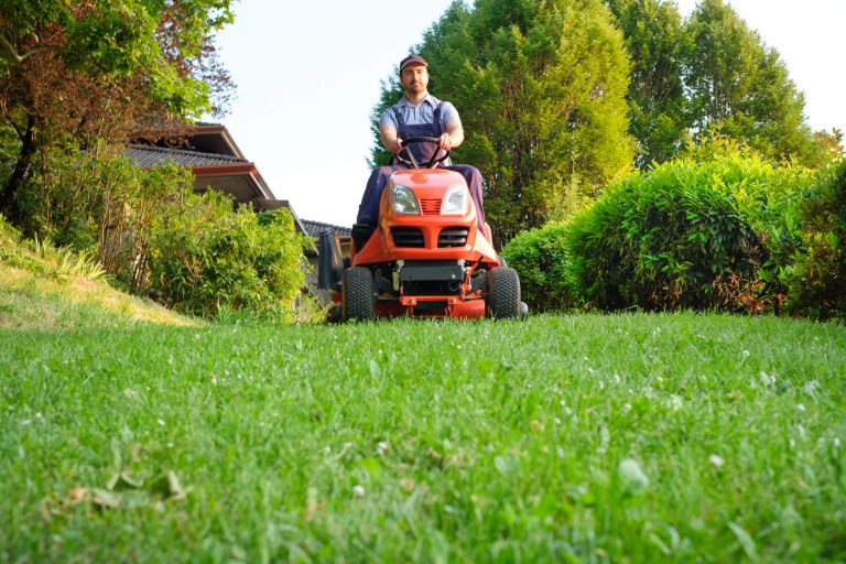 How to Keep Your Lawn Healthy Year-Round: Seasonal Tips