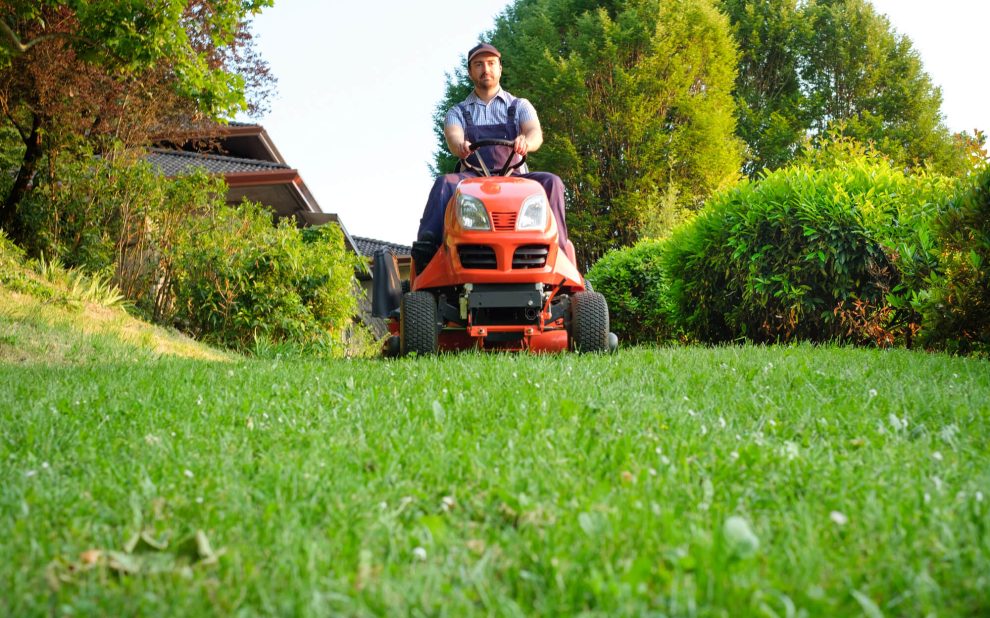 How to Keep Your Lawn Healthy Year-Round: Seasonal Tips