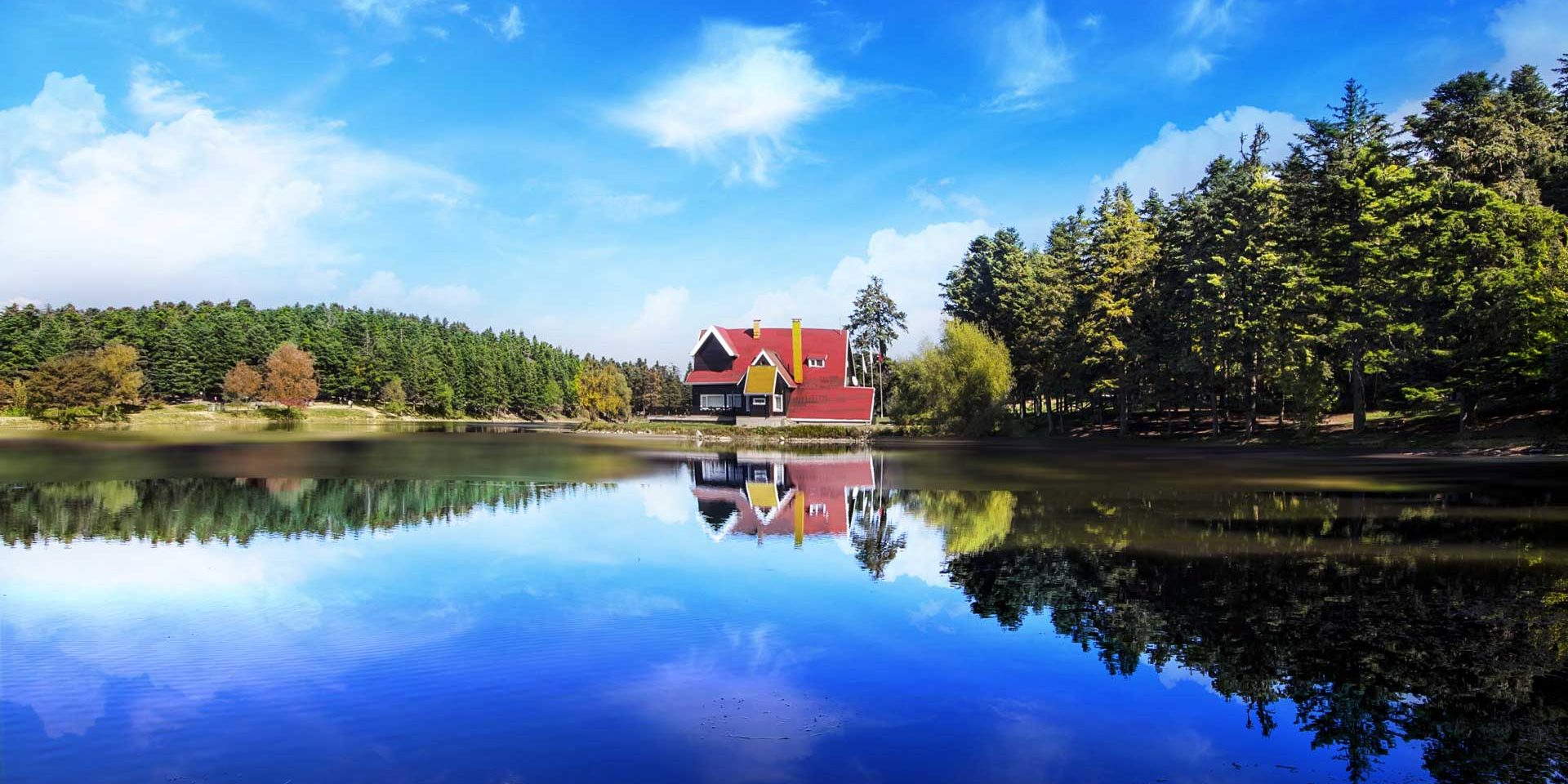 Property Care Services