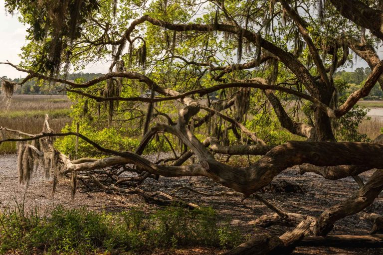 Charleston Rental Property Maintenance & Repairs