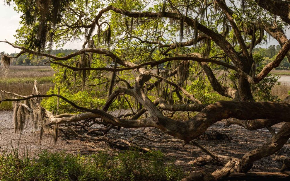 Charleston Rental Property Maintenance & Repairs Charleston Rental Property Maintenance & Repairs