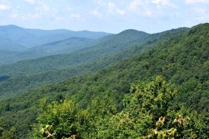 Why North Georgia Homeowners Choose Home Concierge Service