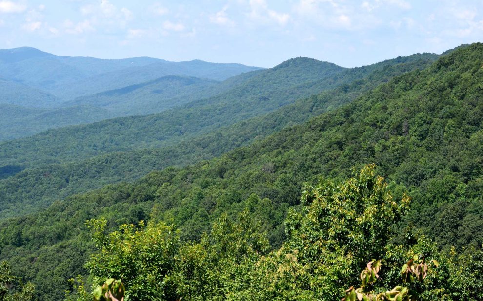 Why North Georgia Homeowners Choose Home Concierge Service