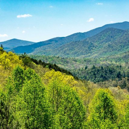 Property Stewards Highlands, NC