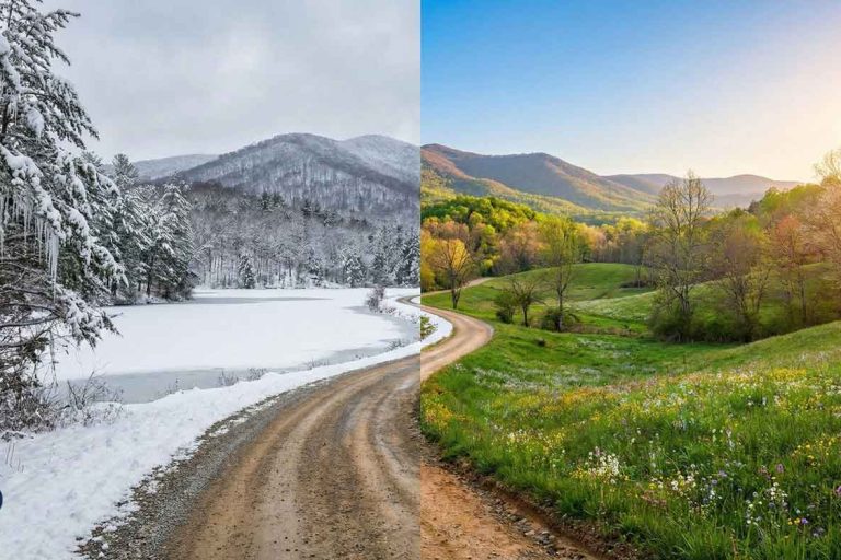 Brutal-Winter-Conditions-Continue-in-North-Georgia--But-Spring-Is-Only-43-Days-Away