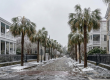 A Wild Winter in Charleston How Property Stewards Helped Protect Getaway Homes