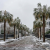 A Wild Winter in Charleston How Property Stewards Helped Protect Getaway Homes
