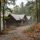 Cozy wooden cabin in a misty autumn forest, with a gravel path winding past fallen leaves.