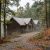 Cozy wooden cabin in a misty autumn forest, with a gravel path winding past fallen leaves.