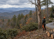Tree-care professional assessing a tree beside a mountain home overlooking wooded Blue Ridge ridges