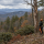 Tree-care professional assessing a tree beside a mountain home overlooking wooded Blue Ridge ridges